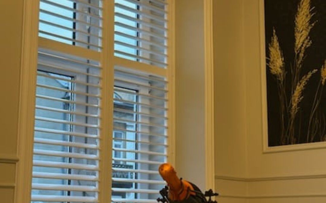 Shuttersy okienne Rolbest