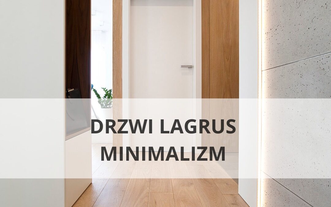 Drzwi Lagrus Tafla RAL 9003