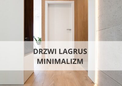 drzwi largus tafla