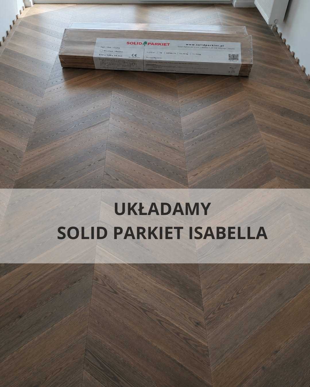 Solid Parkiet -Isabella