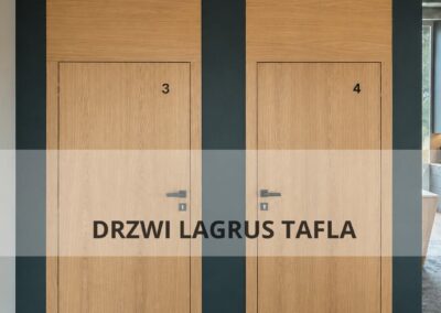 Drzwi Lagrus Tafla w fornirze dębowym
