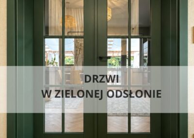 Drzwi loftowe Erkado w zieleni